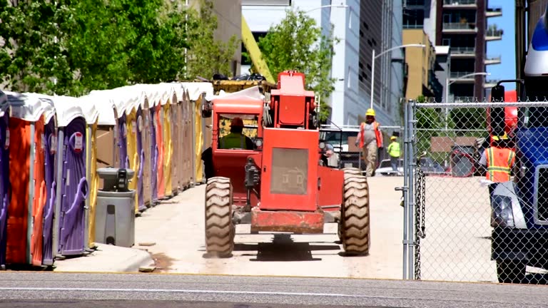 Professional Tree Removal in Thatcher, AZ